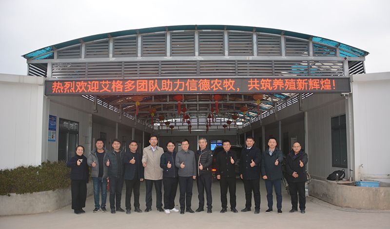 艾格多集團助力信德農牧，共推蛋雞養殖智慧化新篇章